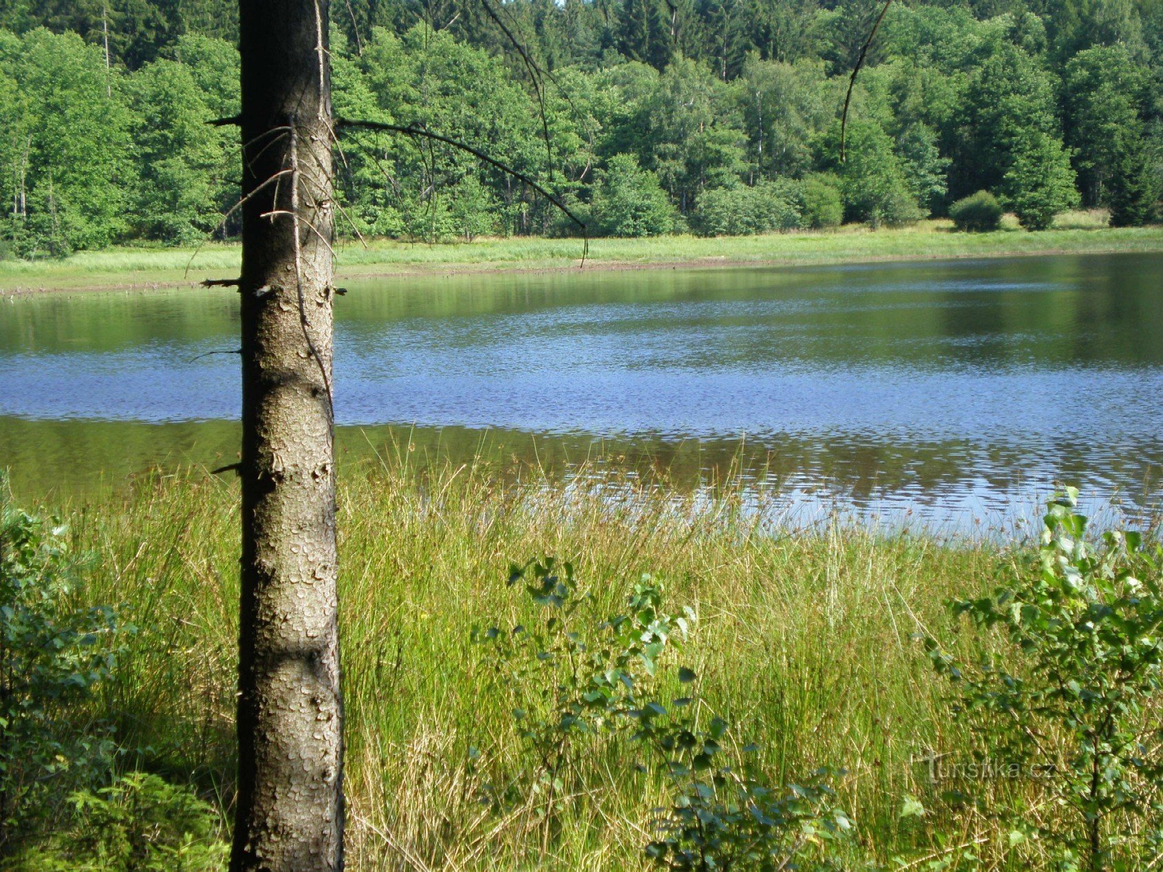 Miłosny zbiornik