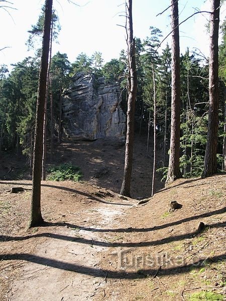 Schädel auf dem Rücken der Ziege