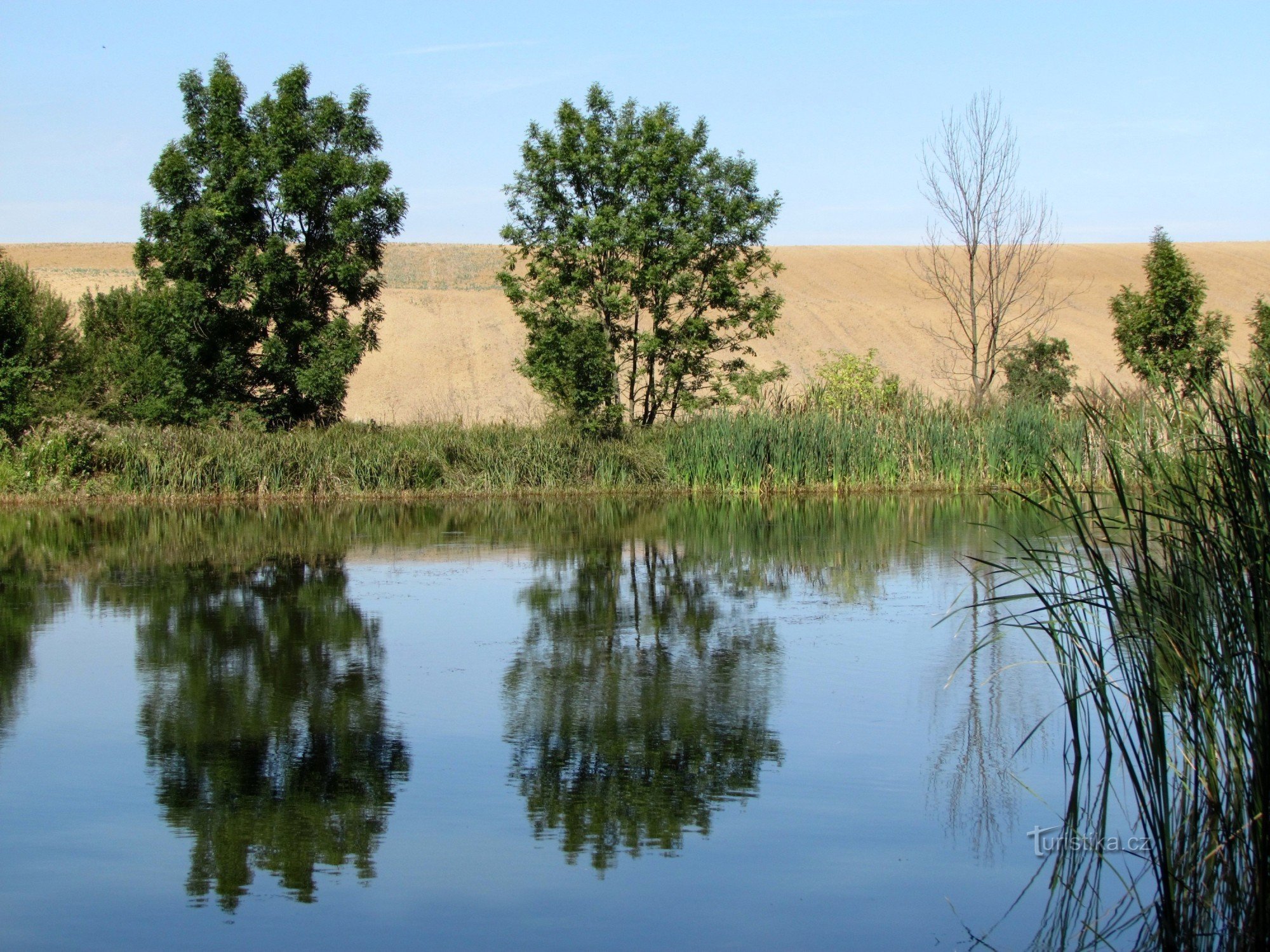 Lechotick dam