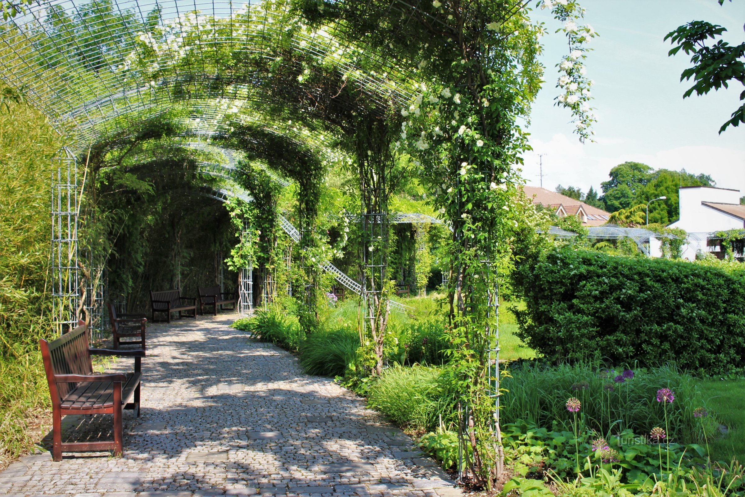 Lednice - Academic garden