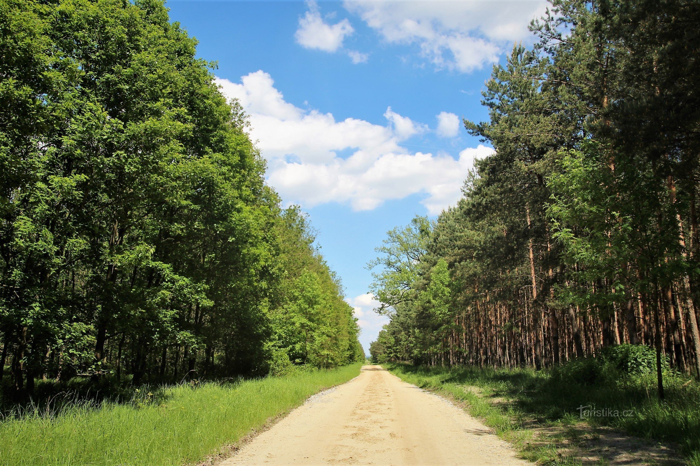 Área de Lednice-Valtice - Boří les