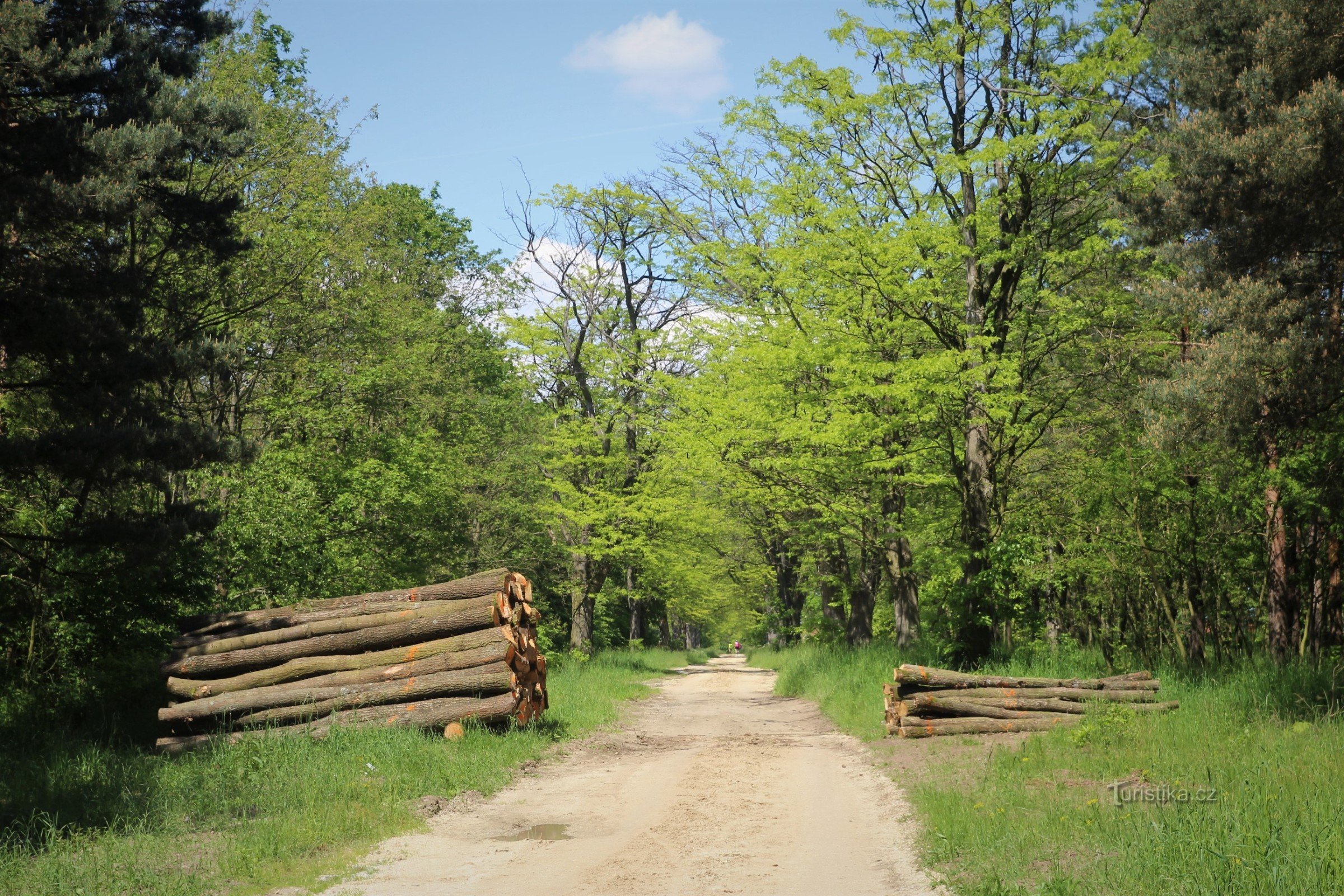 Zona di Lednice-Valtice - Boří les