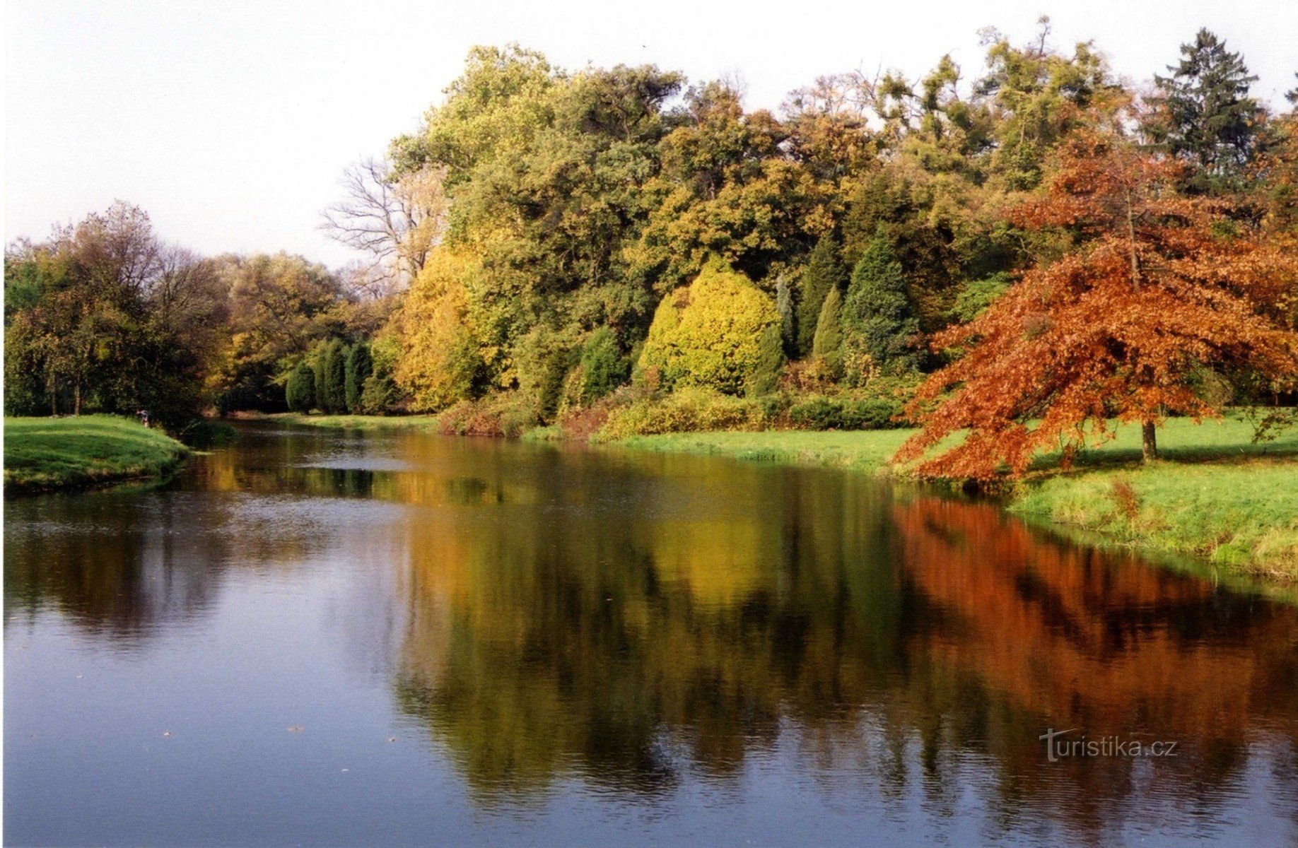 Ледніцький парк