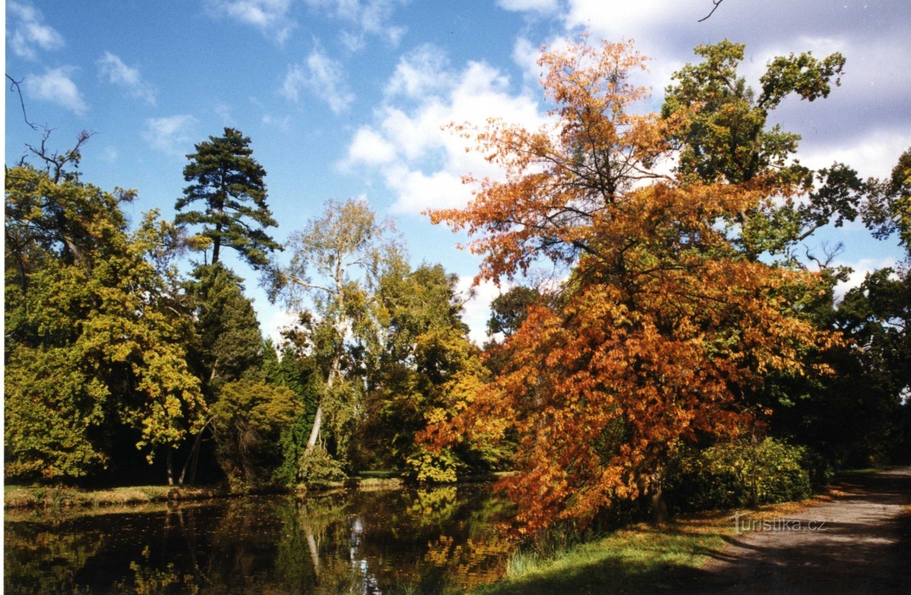 Ледніцький парк