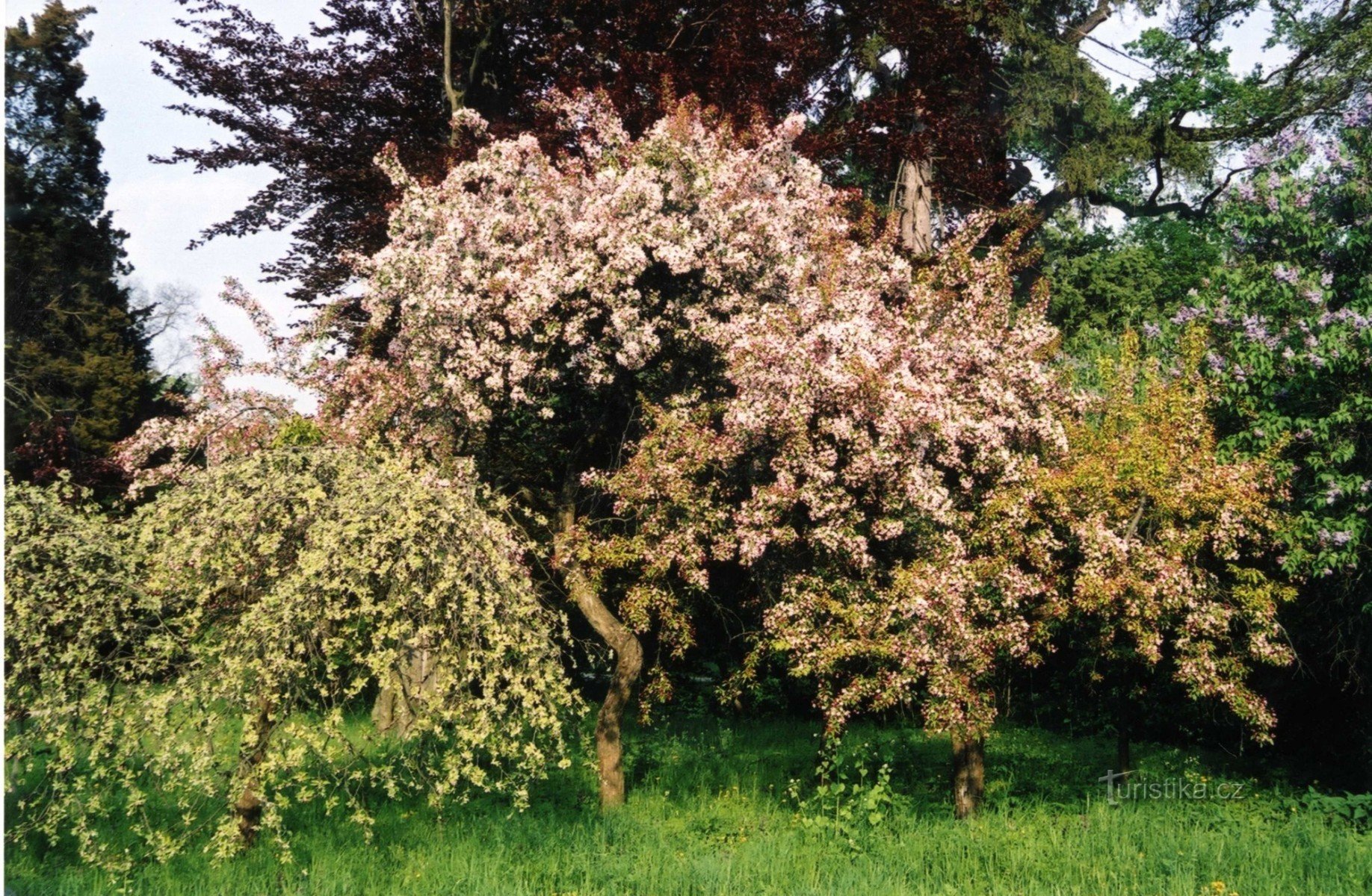 Parcul Lednice