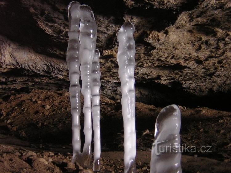 Ice beauty in the Bakery