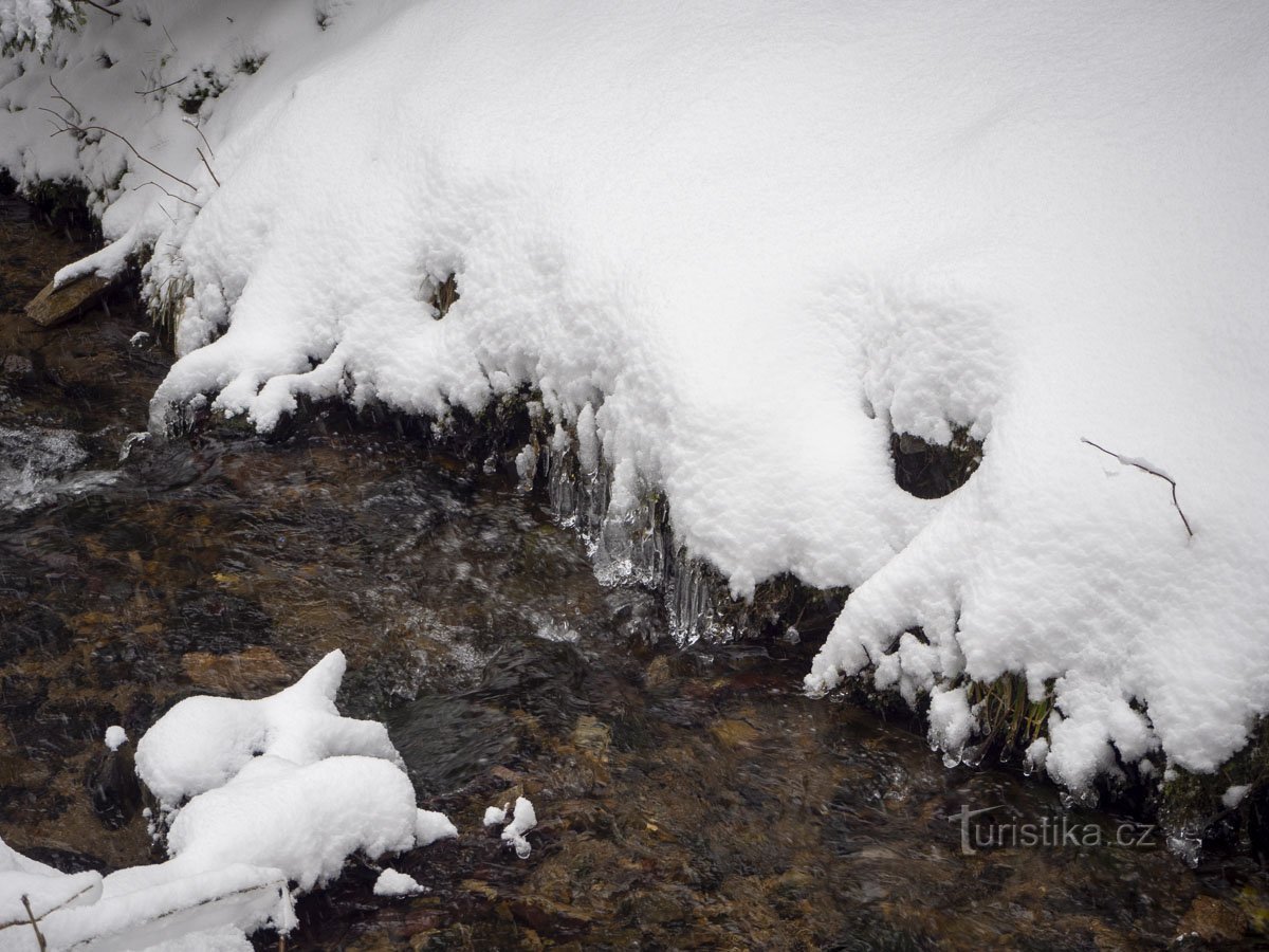Phénomènes de glace sur le ruisseau