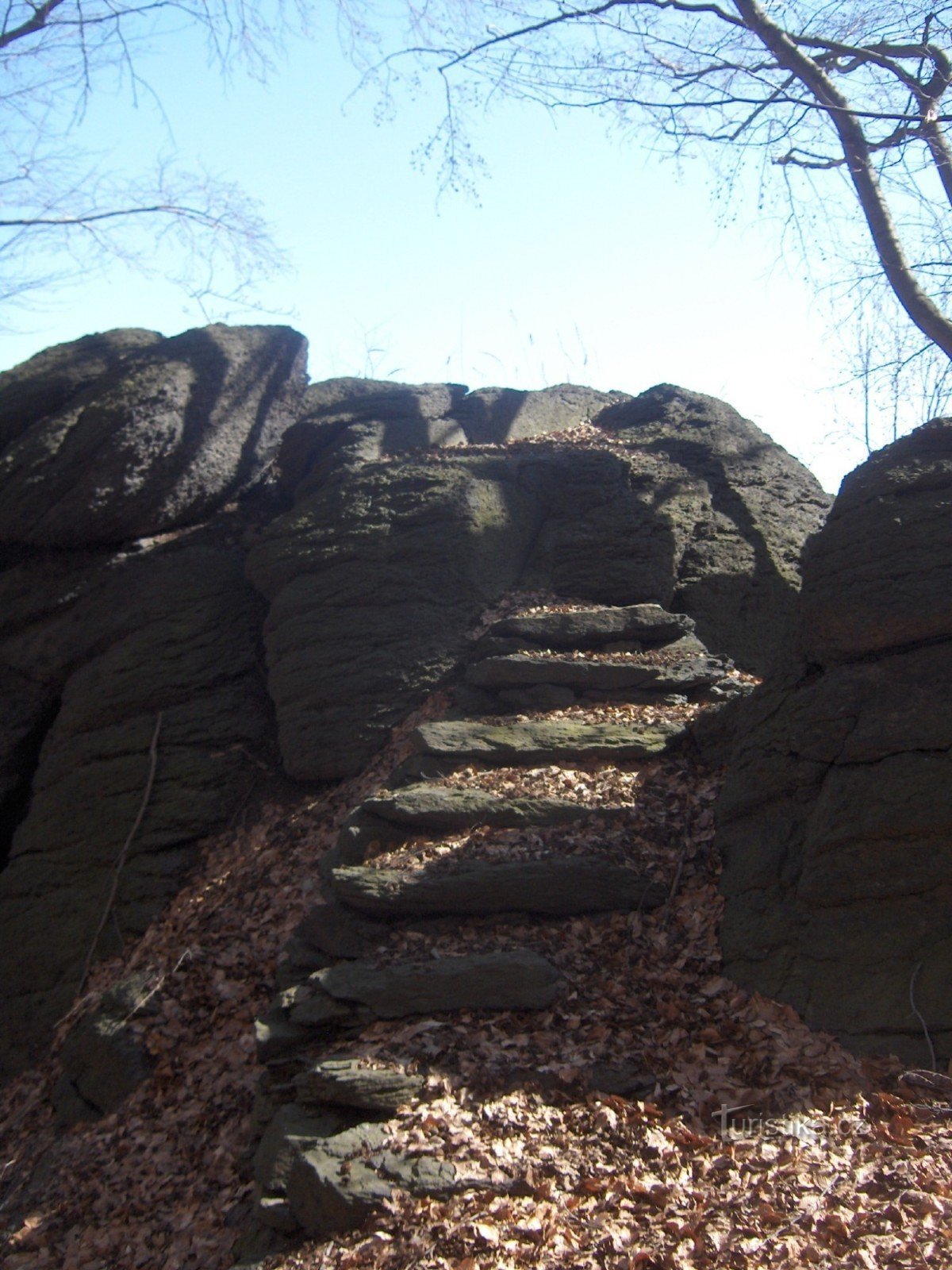 Leopold's seat