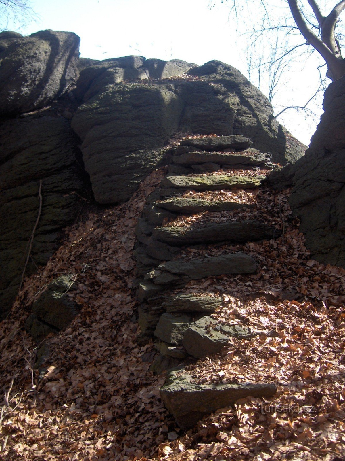 Leopold's seat