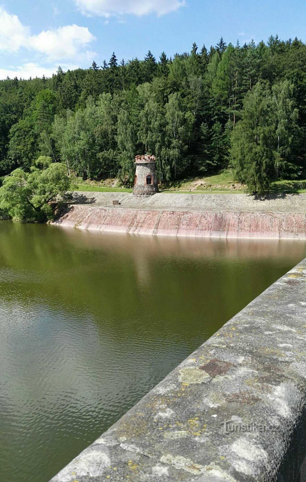 Лесное королевство