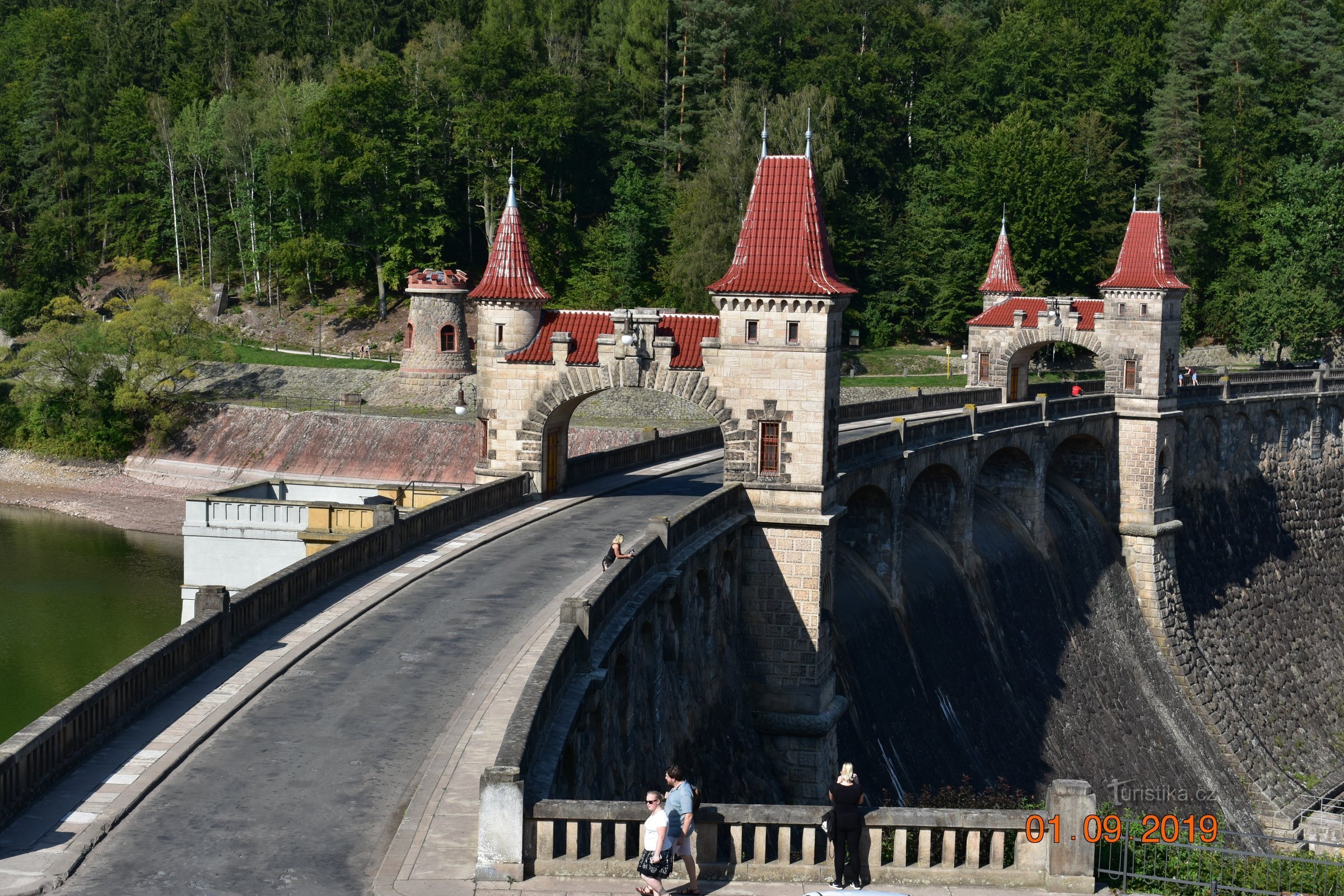 Königreich des Waldes