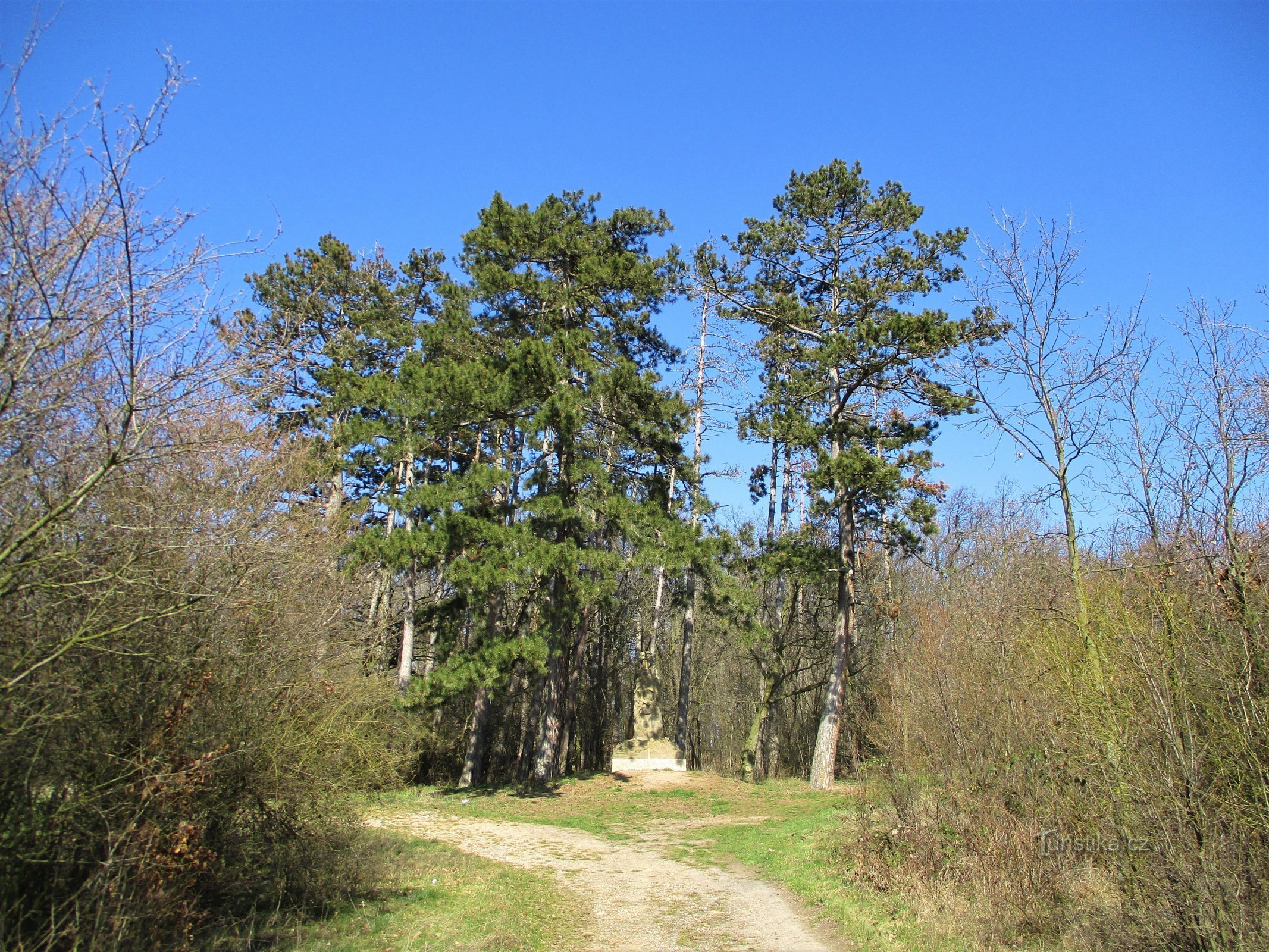 Les na Pašáti (Urbanice)