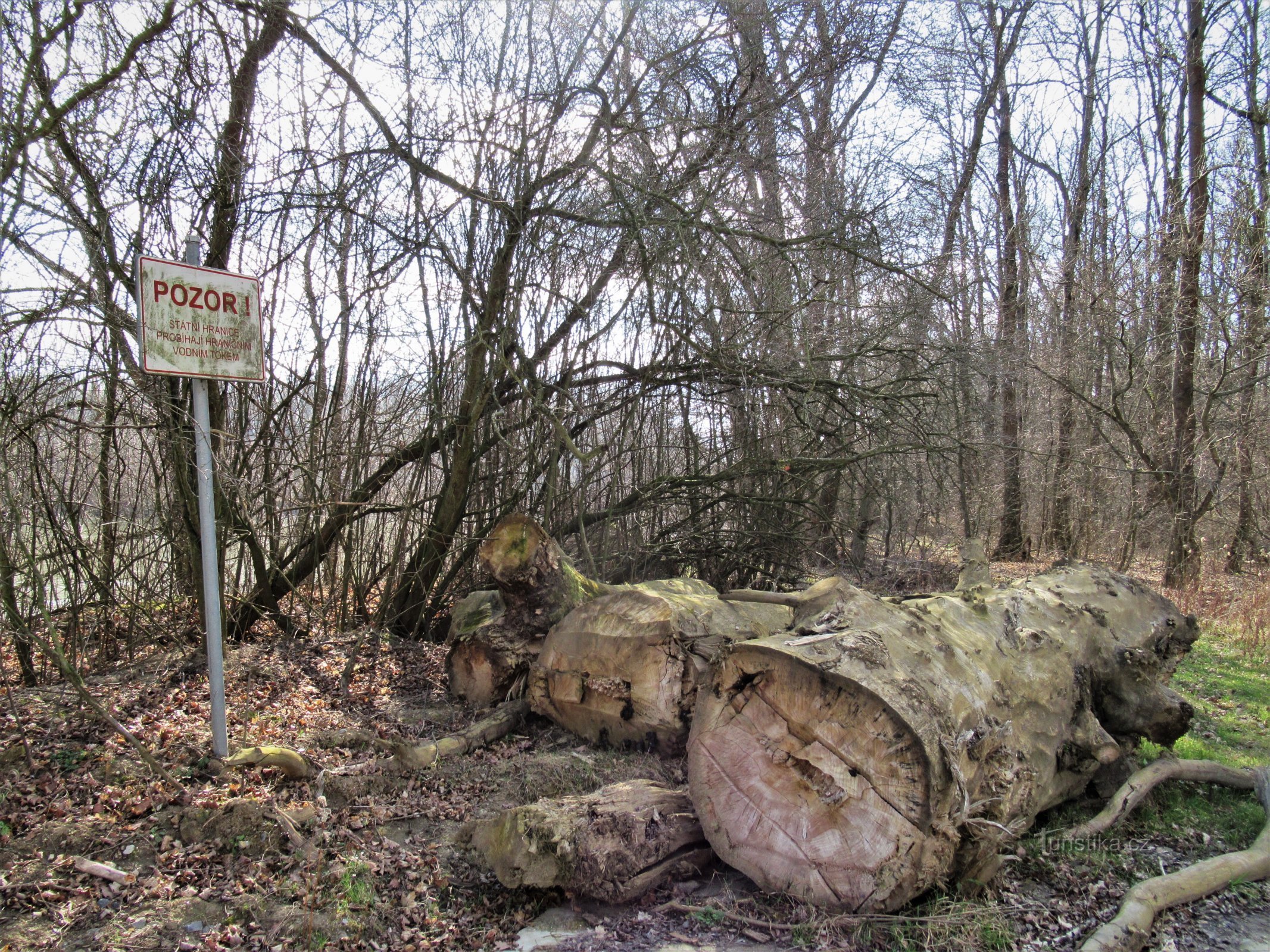 Bosque de Očov