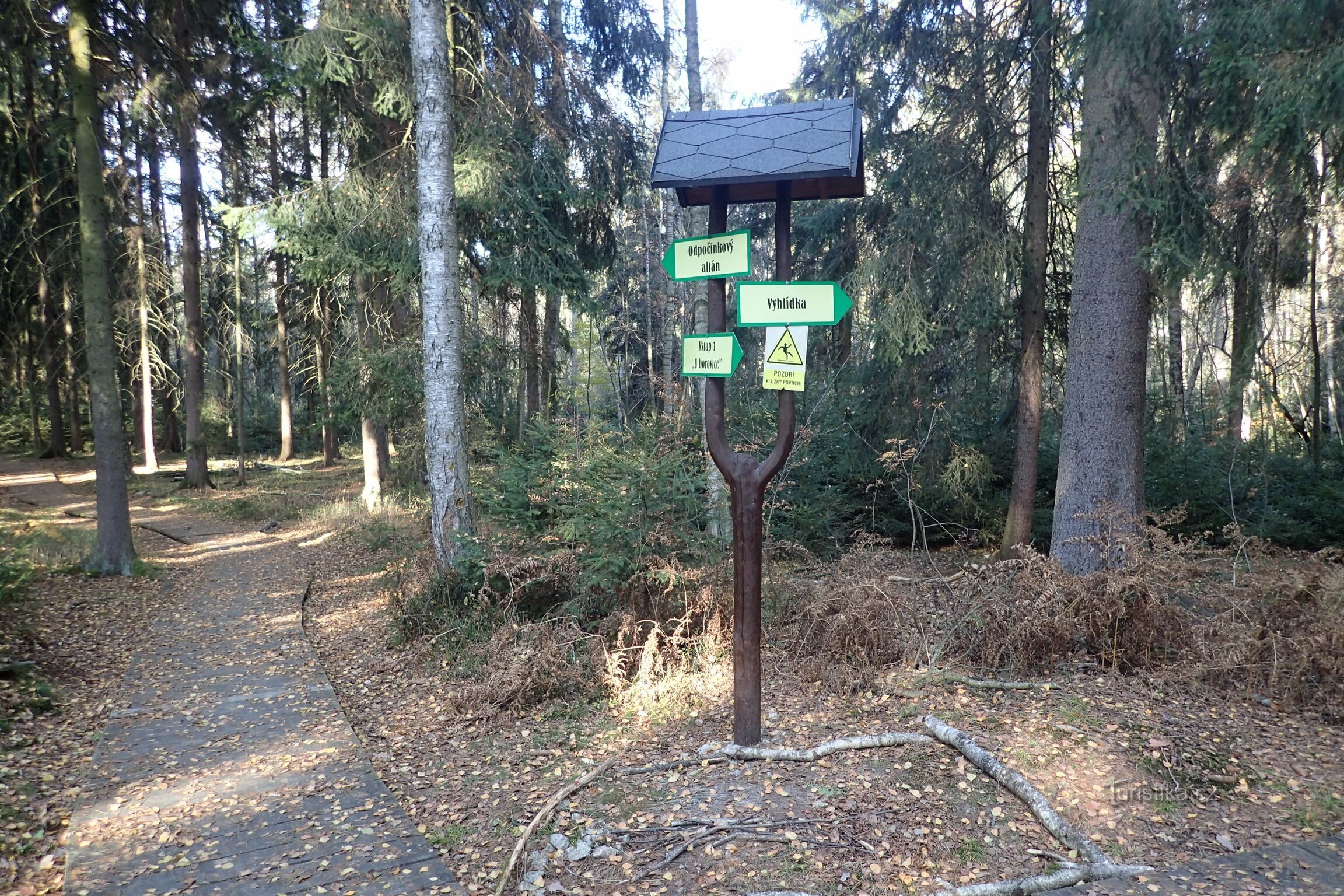 Ein Wald in der Nähe des Heilbades Kundratice.