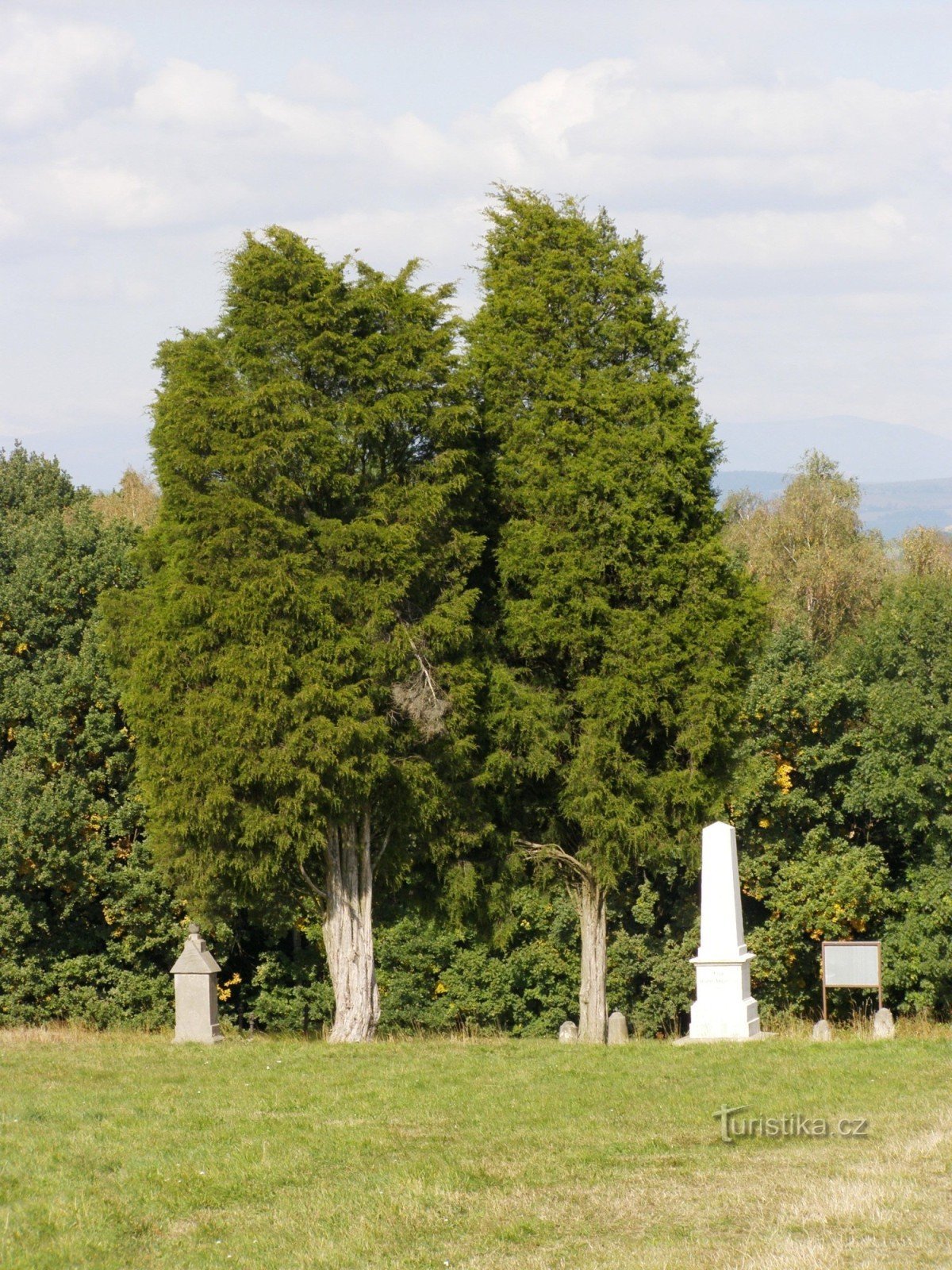 Foresta di Svib