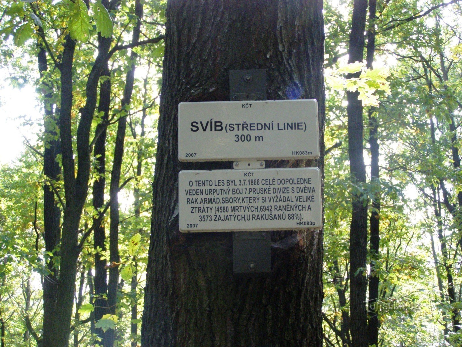 Les Svíb - střední linie