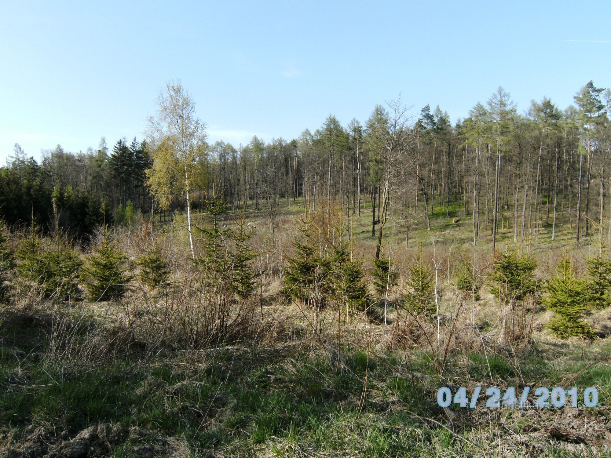 skov i nærheden af ​​Útěchov