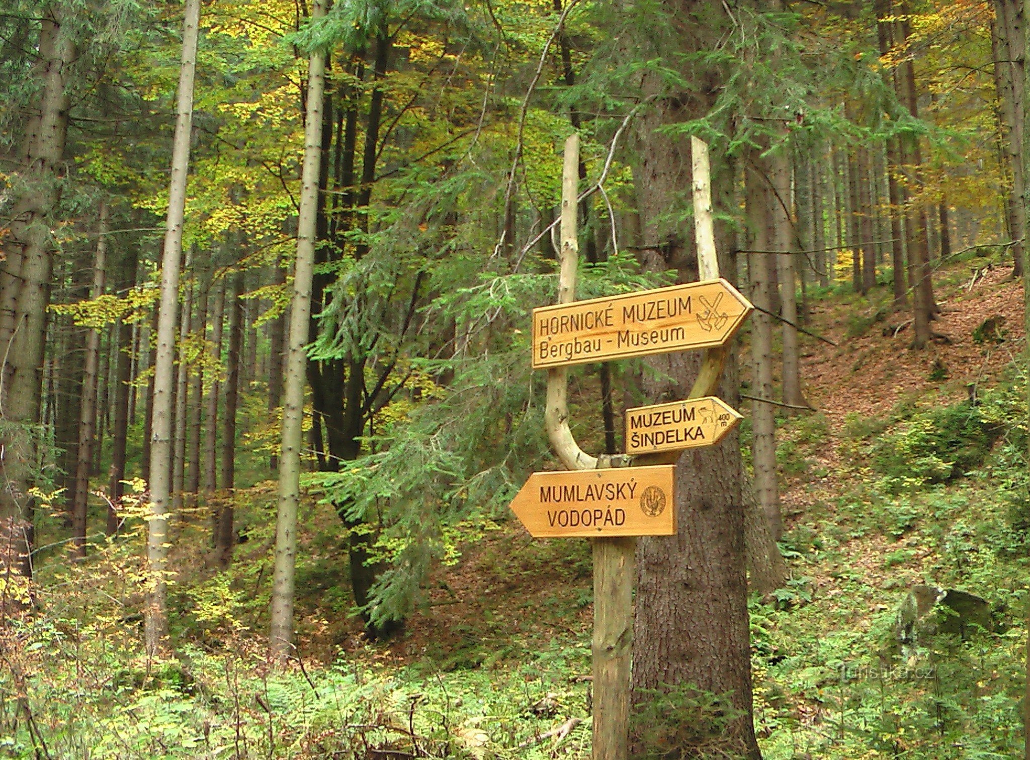 A travers la forêt jusqu'à la cascade