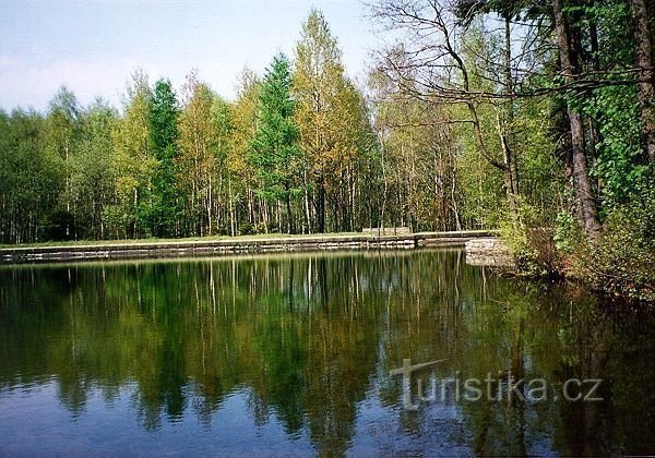 Лісова дамба