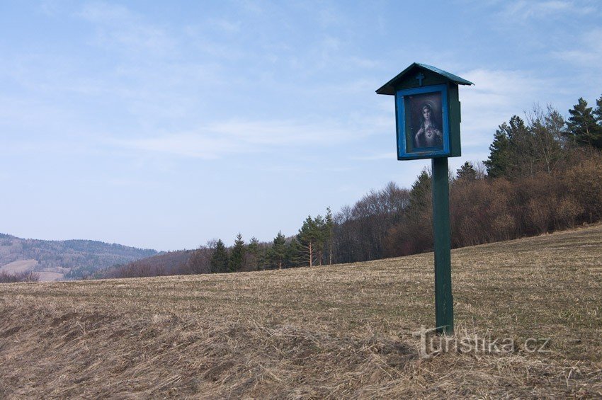 Lesík s lokalitou od cesty od Hostic