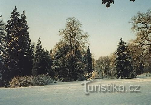 Lešná cerca de Val. Hablan en el medio