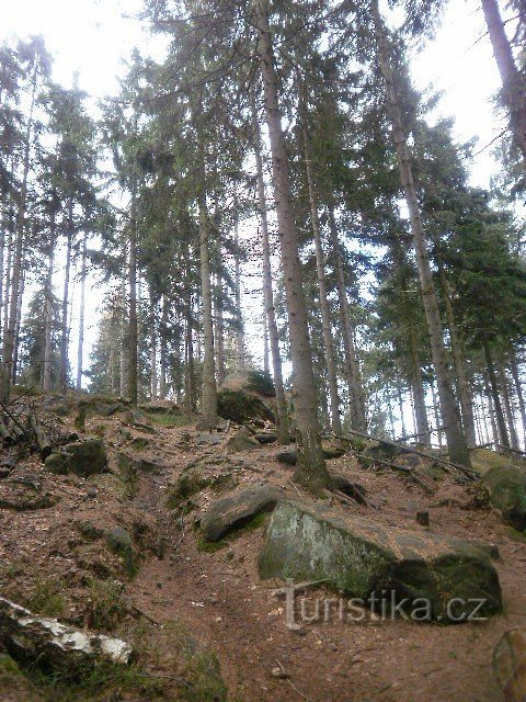 Lesné - Waltersdorf - Krompach - Hvozd / Montagne della Lusazia