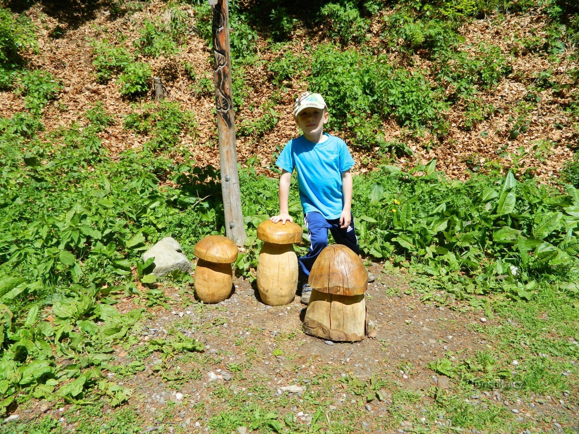 bar de pădure