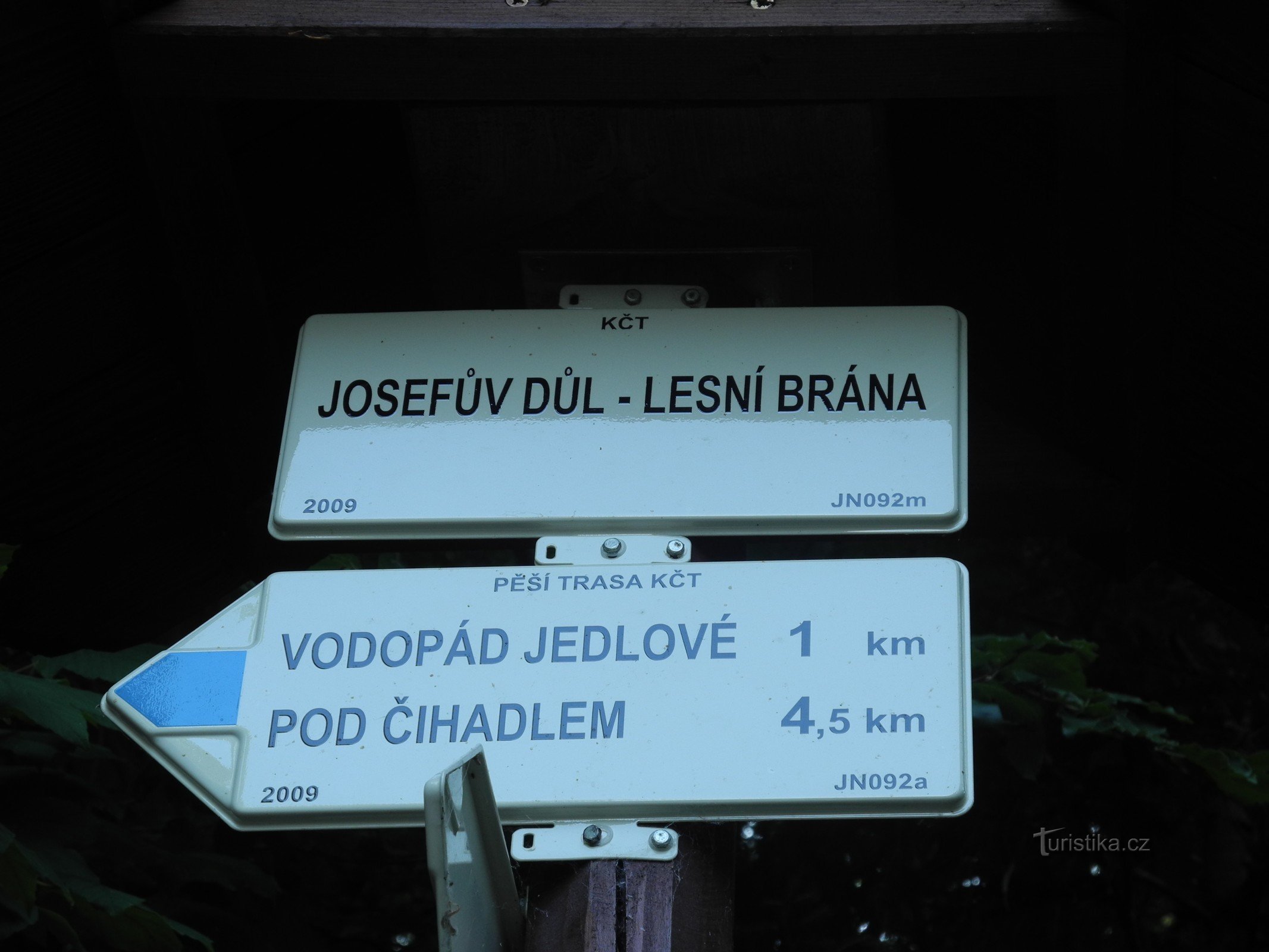 Brama leśna