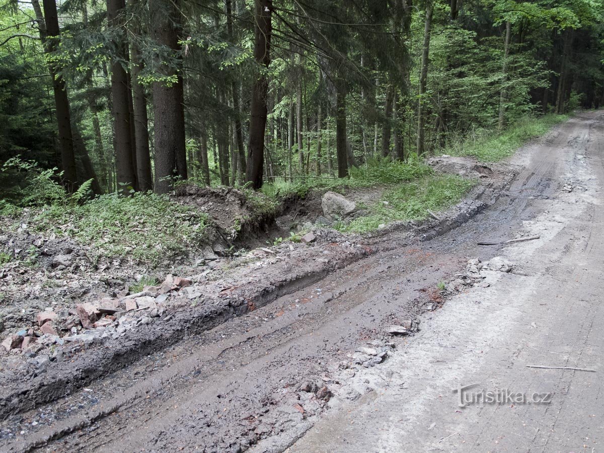 Waldweg Loučná – Bukovice