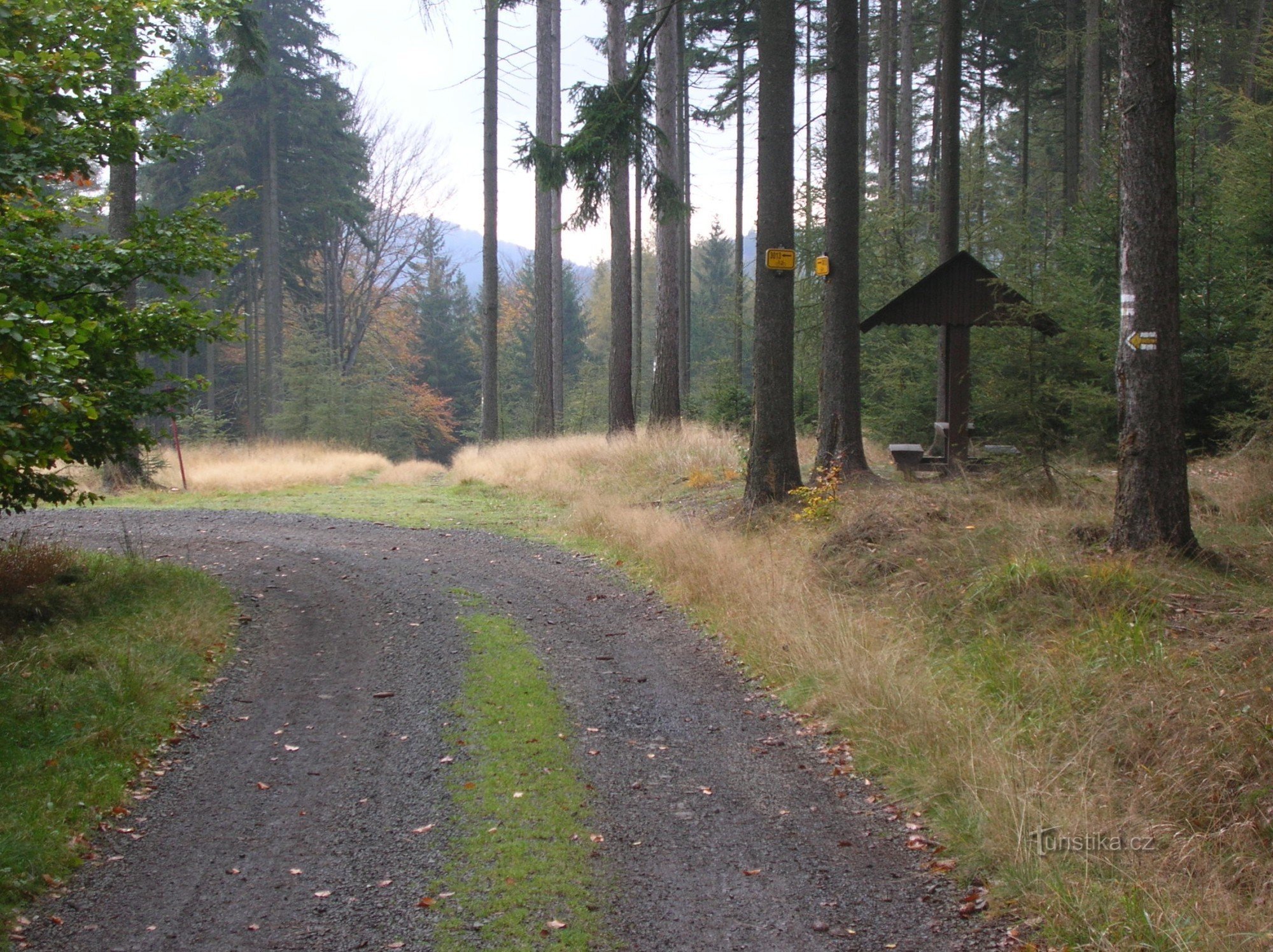 Sentier forestier près de Malé Stožek