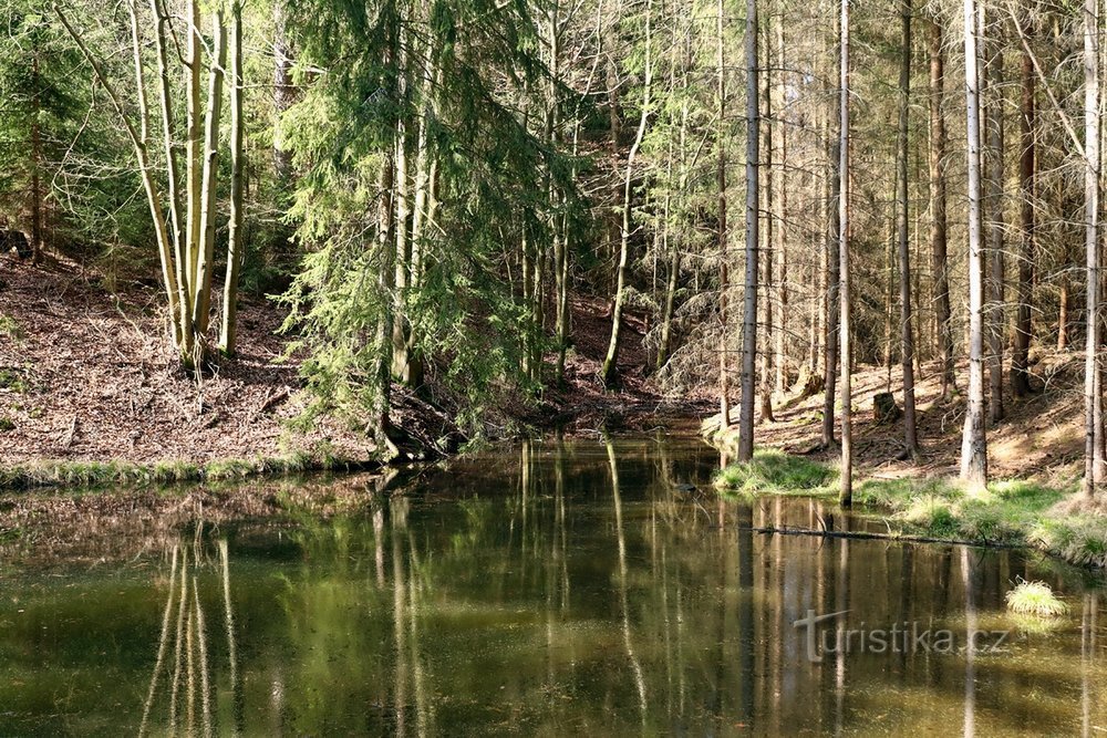 Barrage forestier sur le ruisseau Klučná