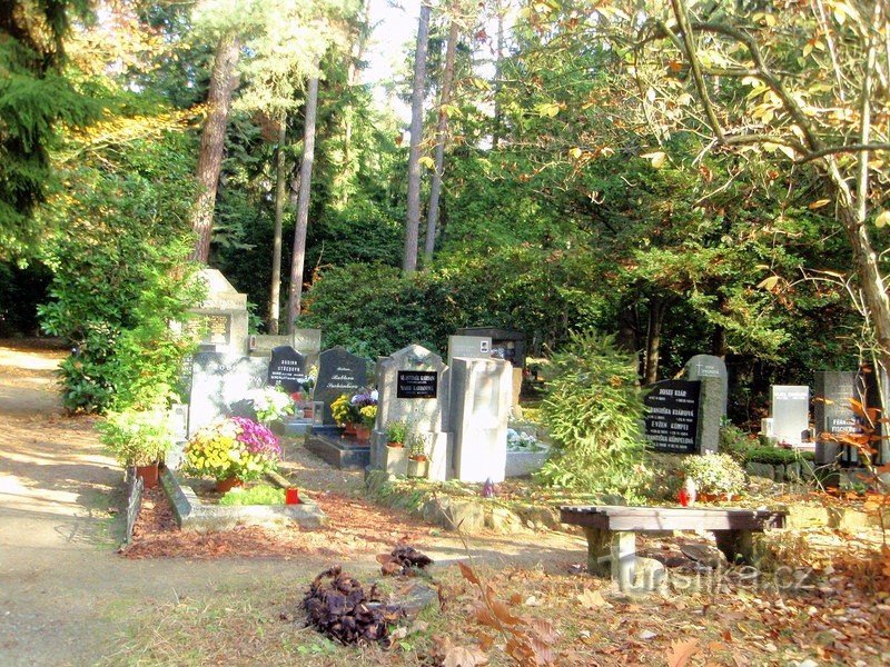 cementerio forestal