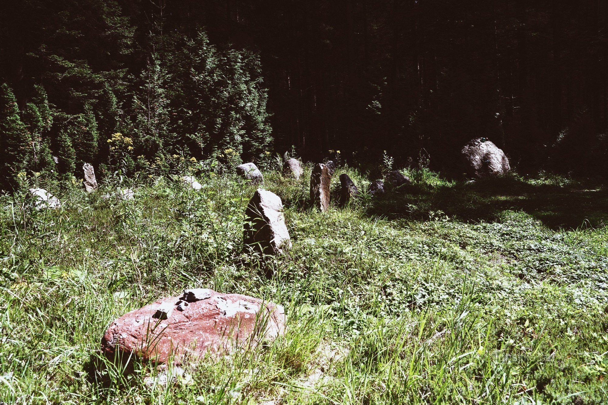 Waldfriedhof unter Rejvíz