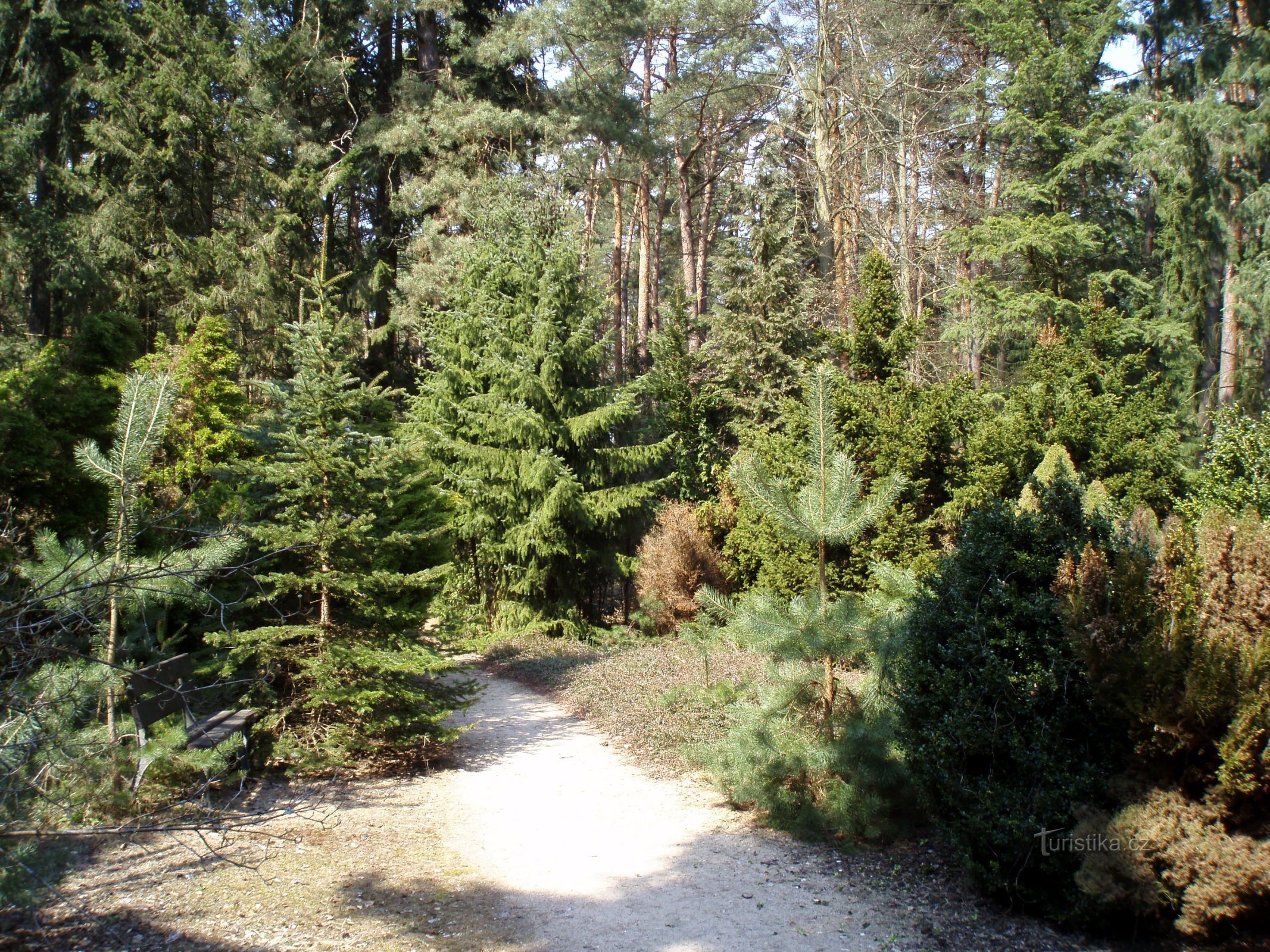 Cemitério florestal em Malšovice (Hradec Králové, 19.4.2010 de abril de XNUMX)