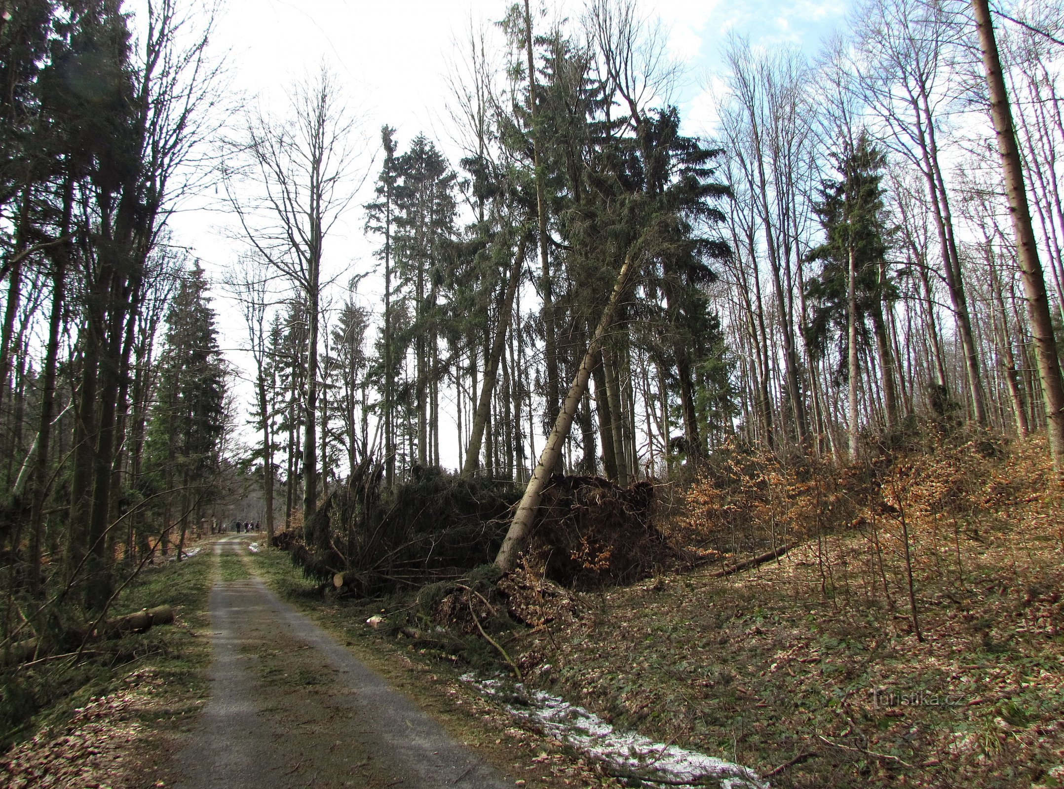skogskatastrof i Rabštejna