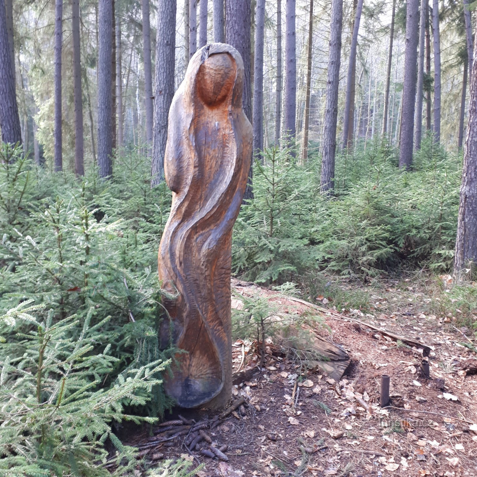 Klokočka forest chapel and Rokytka valley