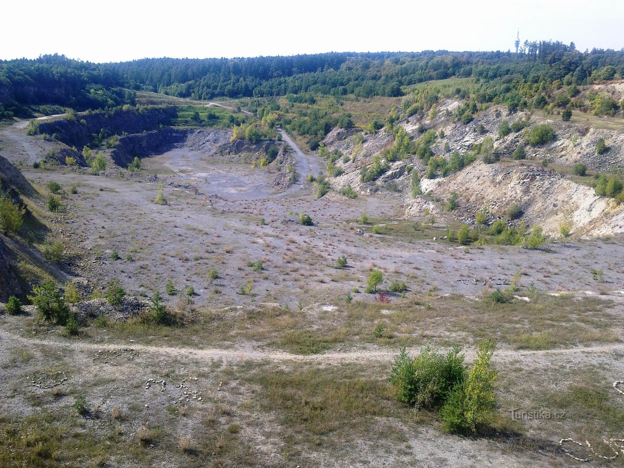 Forest quarry in Líšno