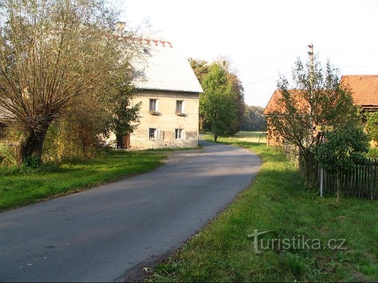 Moulin forestier