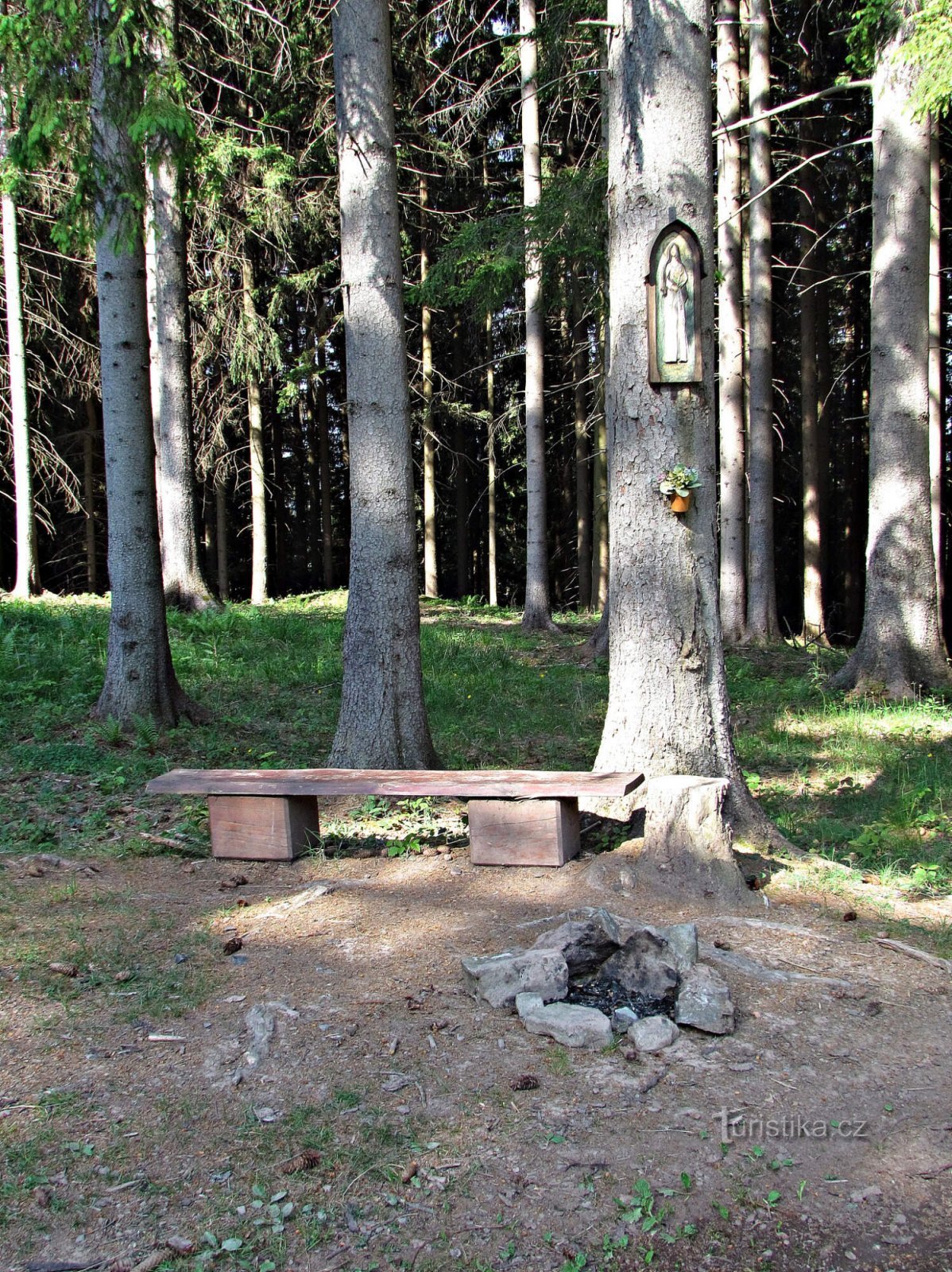 luogo di riposo della foresta