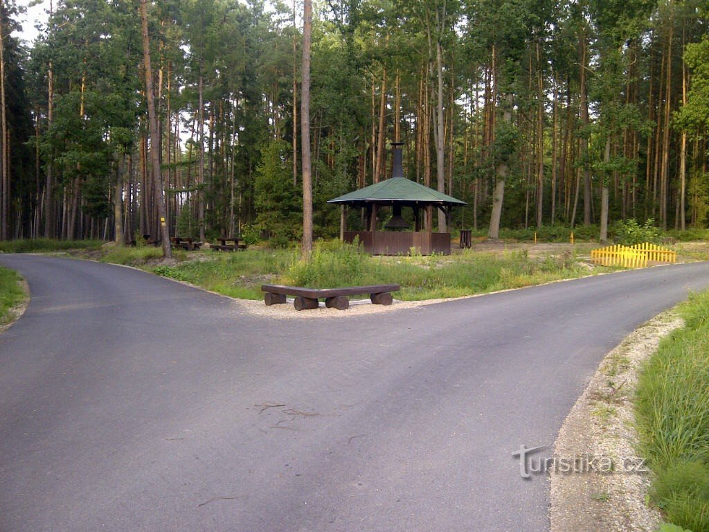 circuito forestal - brasero interior