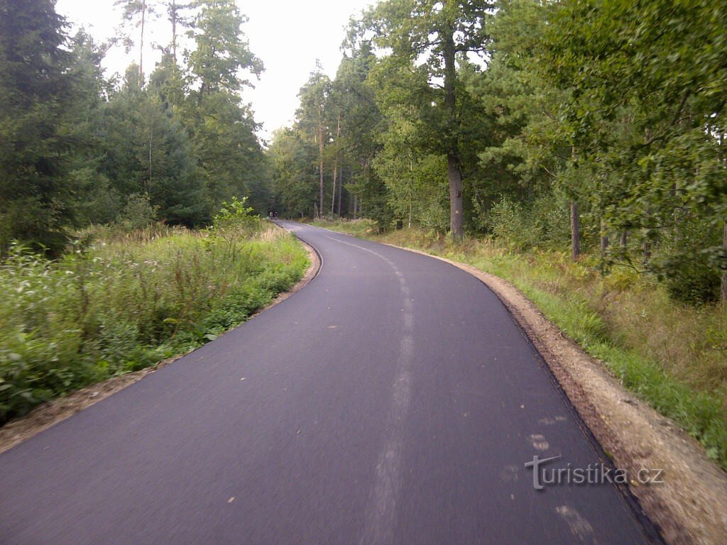 circuito forestale per ciclisti e pattinatori a Hradec Králové