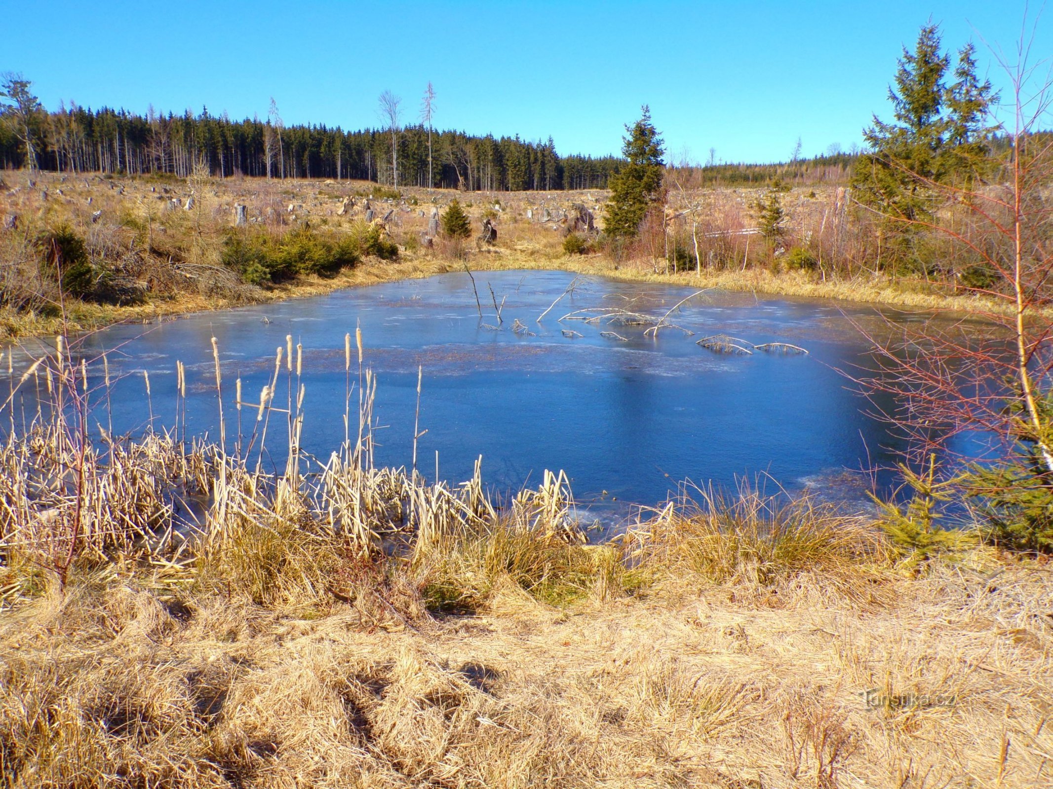 Estanque forestal sobre el estanque de Chmelařým (Mezilečí, 8.3.2022/XNUMX/XNUMX)