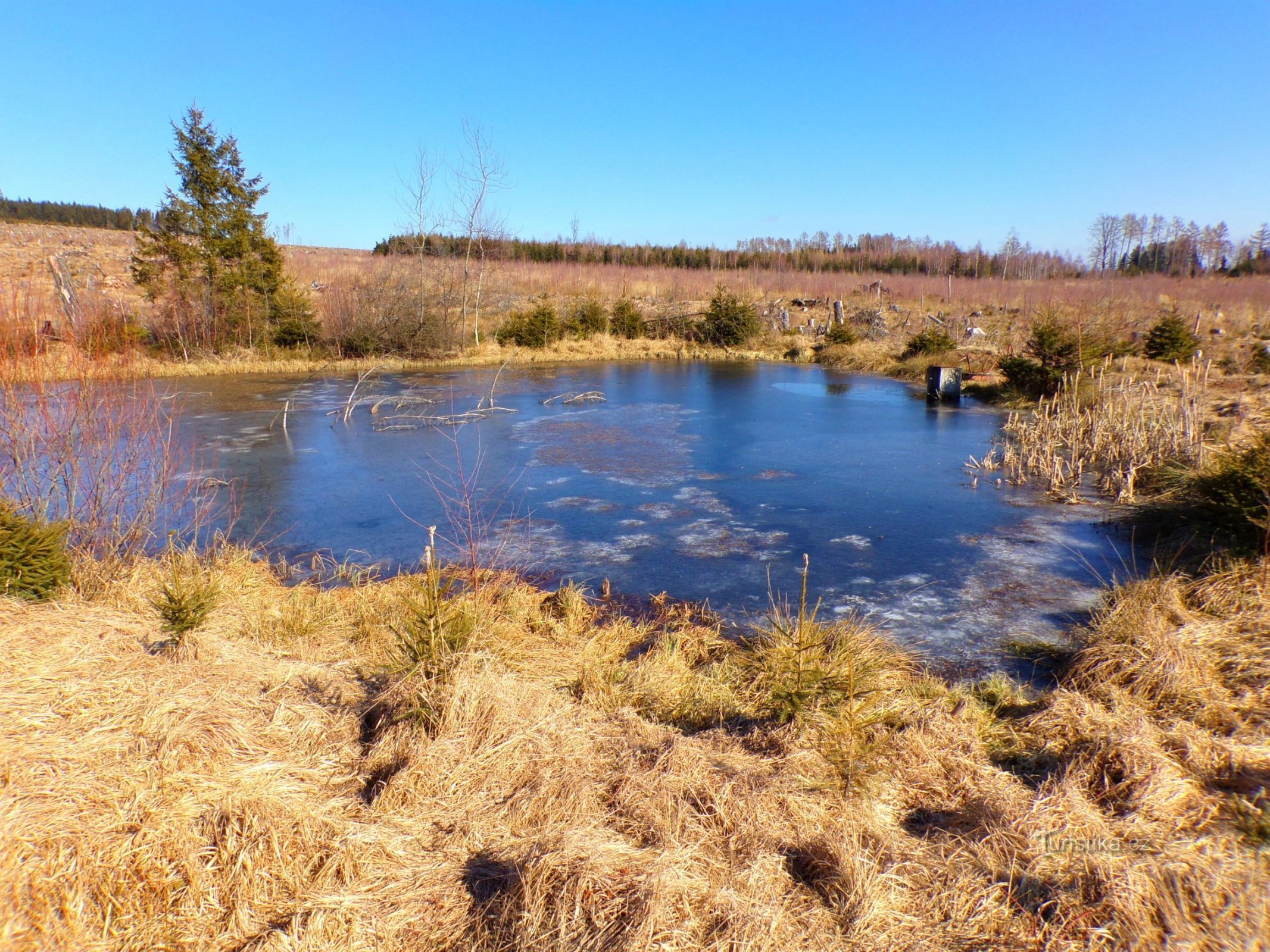 Gozdni ribnik nad ribnikom Chmelařým (Mezilečí, 8.3.2022. XNUMX. XNUMX)