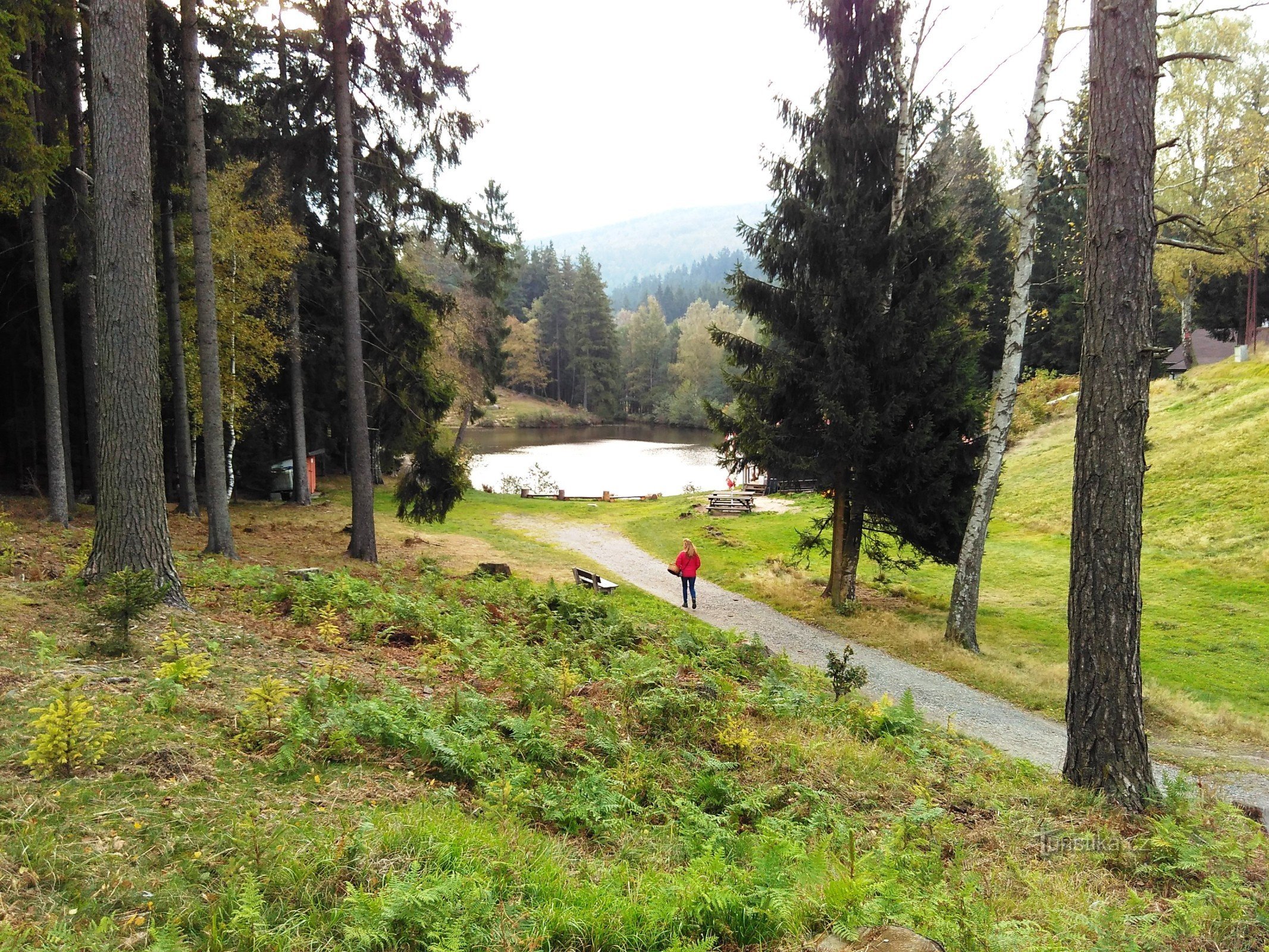 Lagoa da floresta