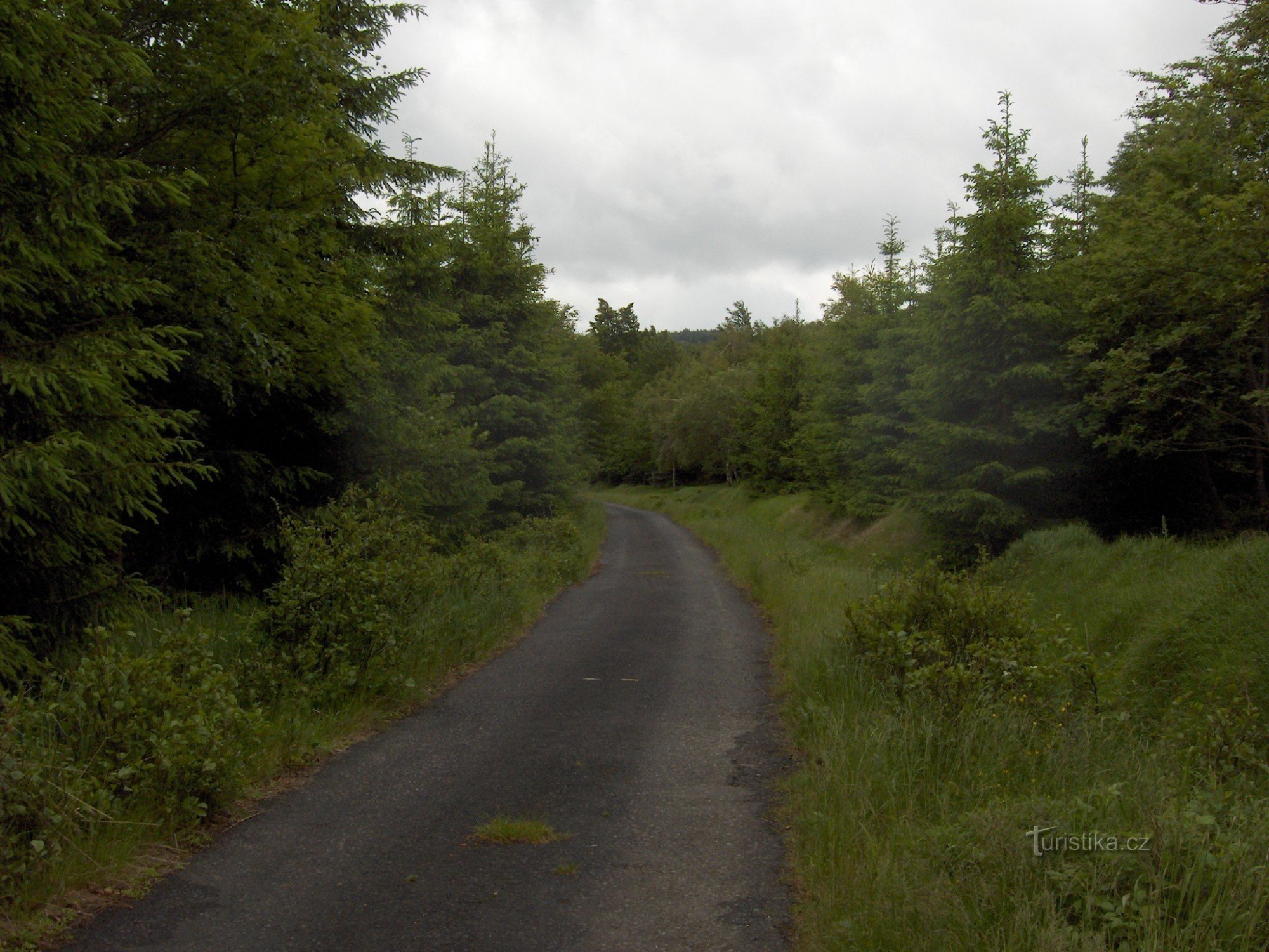 strada forestale