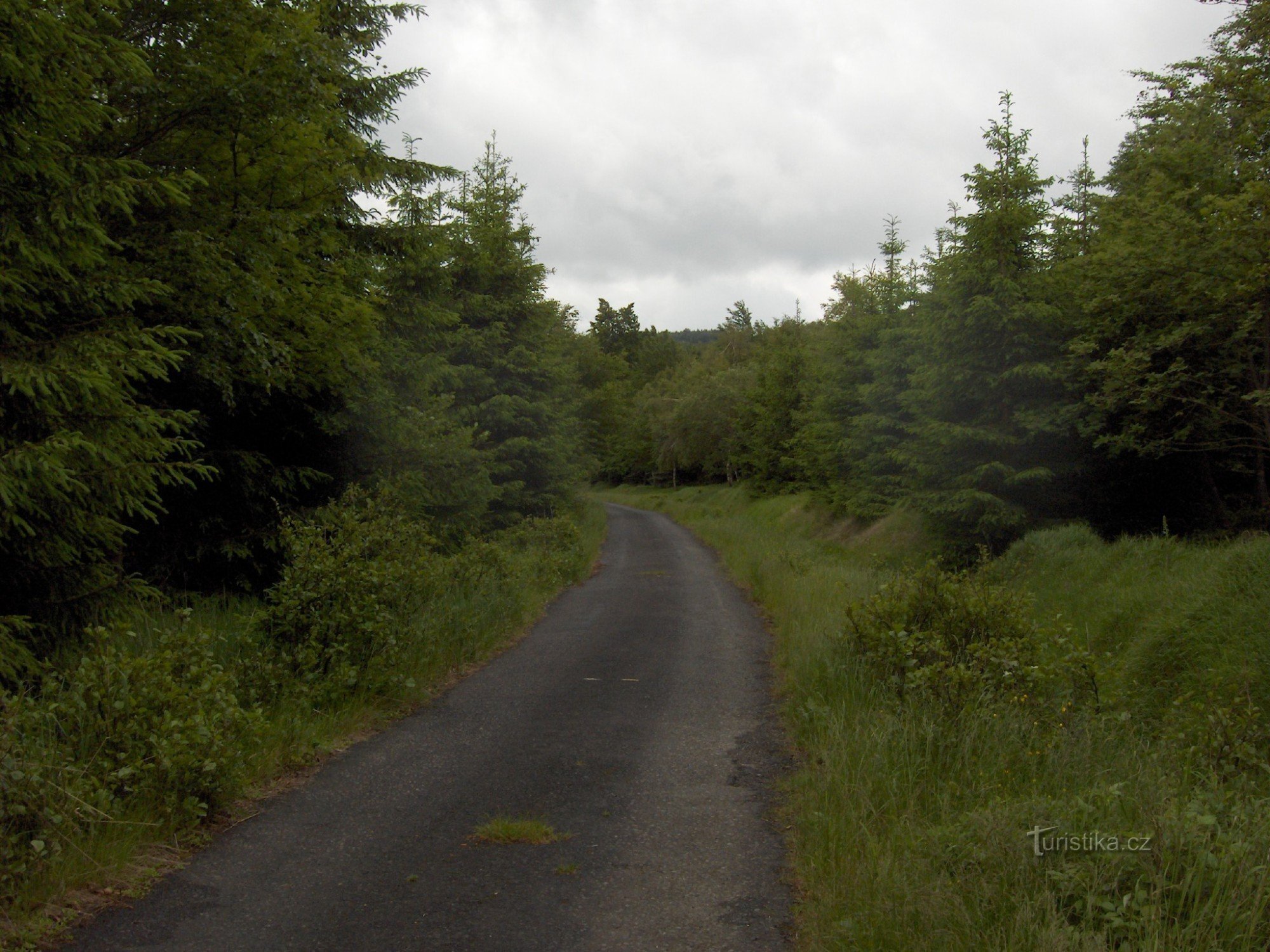 Waldweg