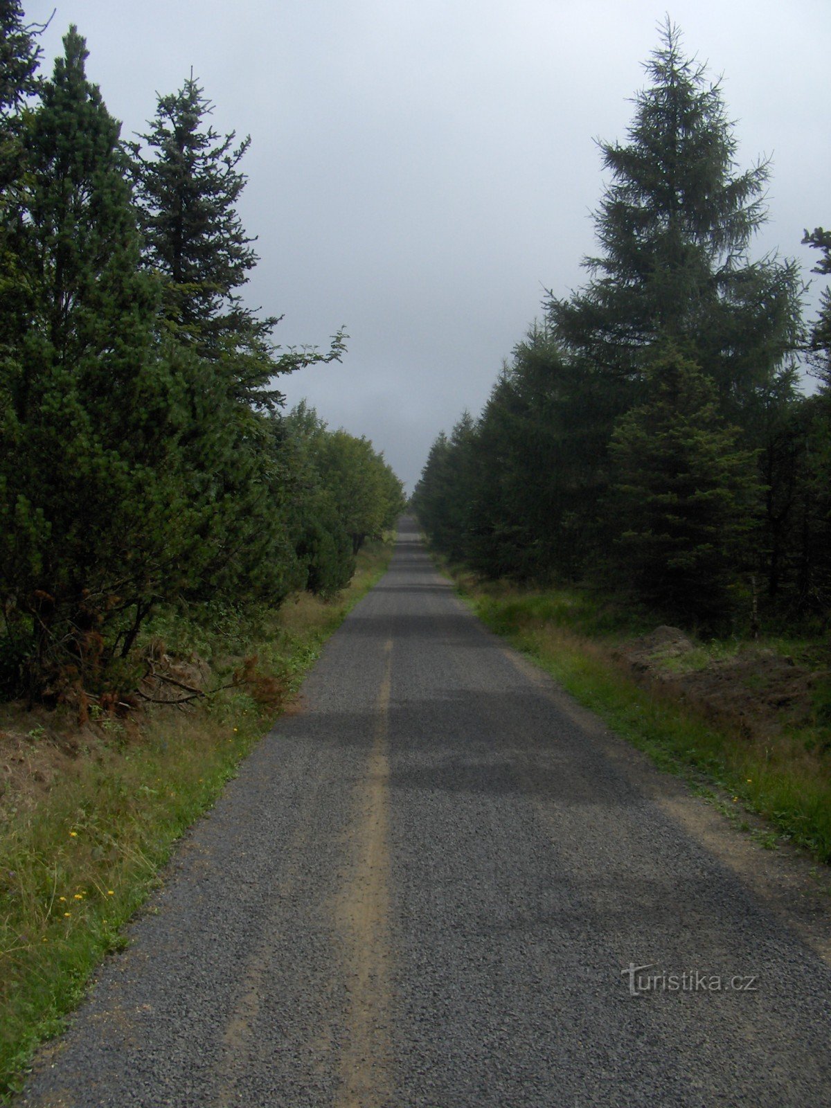 route forestière vers la colline de Tří pánů