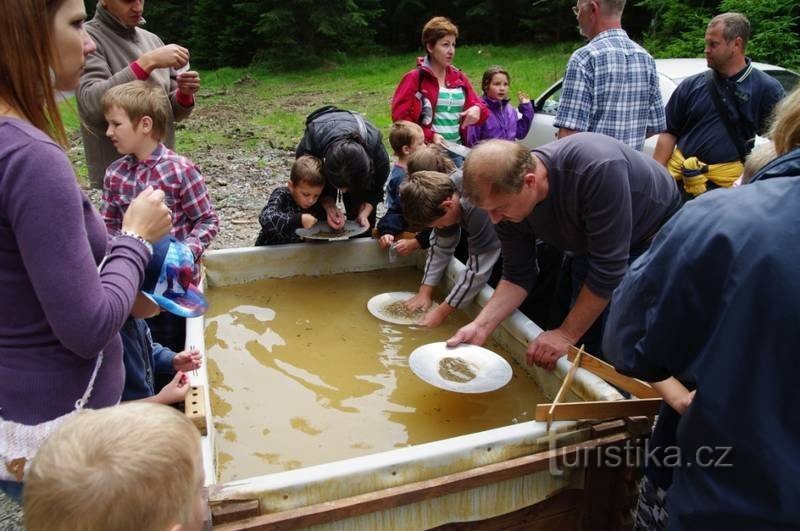 Лісові гуляння Лапків Дракова