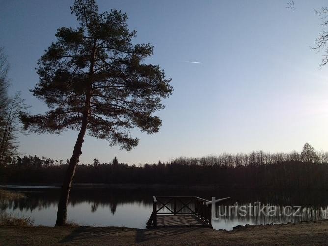 Metsäpolut Hradec Královén kaupunkimetsissä