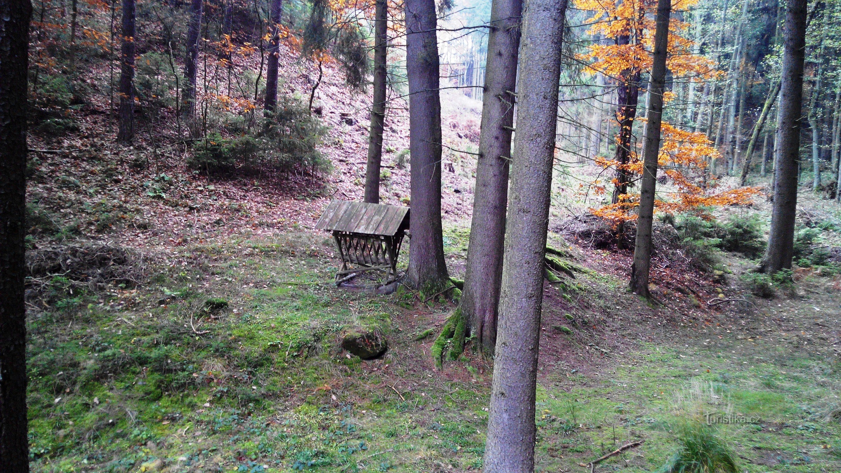 un coin de forêt avec une mangeoire